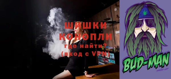 винт Богданович