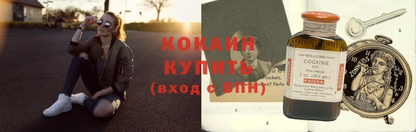 спиды Богородицк