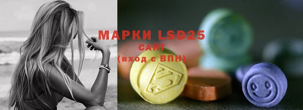 винт Богданович