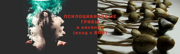 твердый Белокуриха