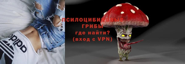 твердый Белокуриха