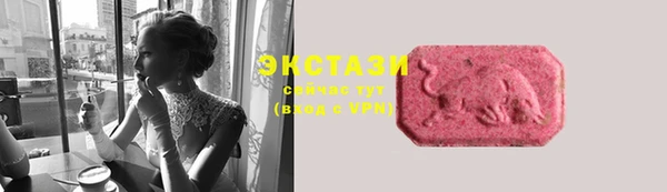 спиды Богородицк