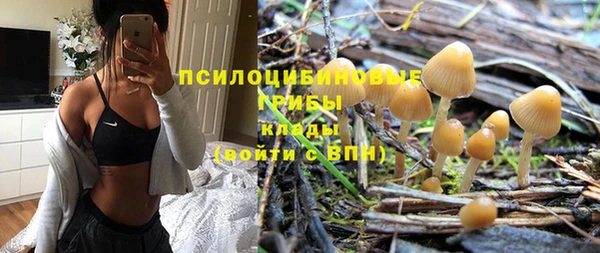 спиды Богородицк