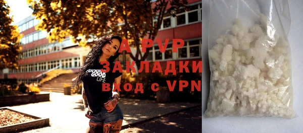 спиды Богородицк