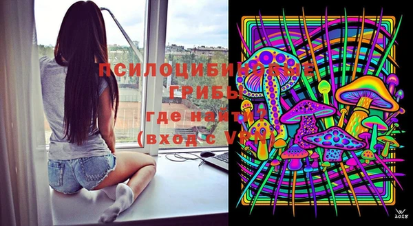 спиды Богородицк