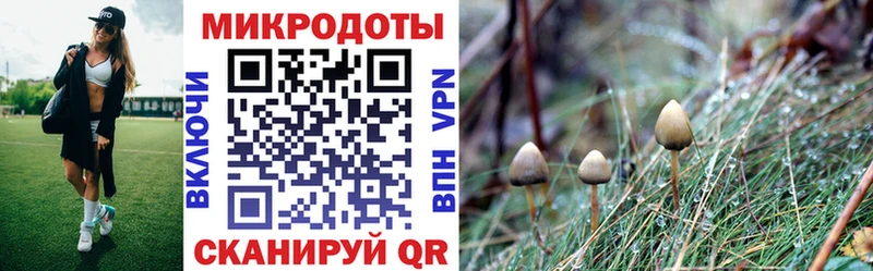 даркнет состав  Белогорск  Псилоцибиновые грибы Magic Shrooms 