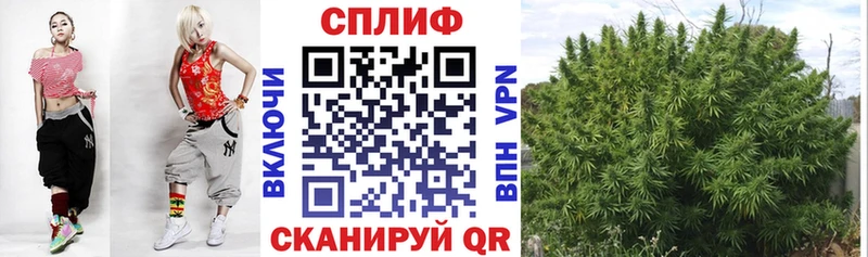 Бошки Шишки VHQ  нарко площадка наркотические препараты  Белогорск 